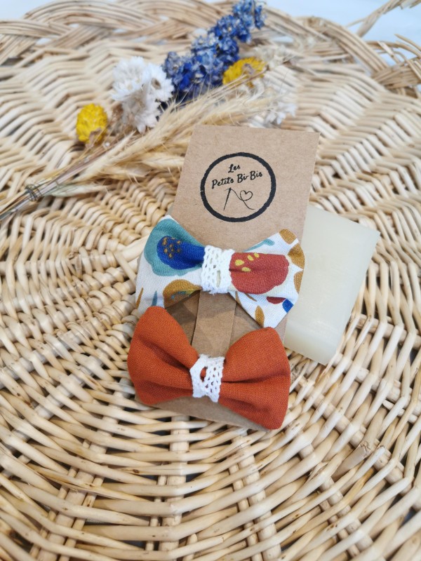 Duo de barrettes couleurs d'automne